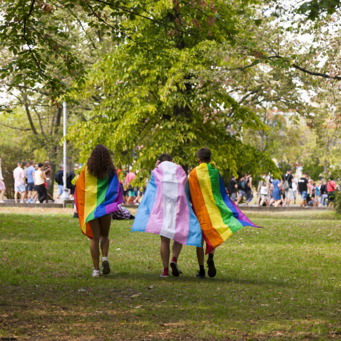 Tre personer går gjennom en park. To av dem har regnbueflagg som kappe, den siste har flagget for transpersoner.