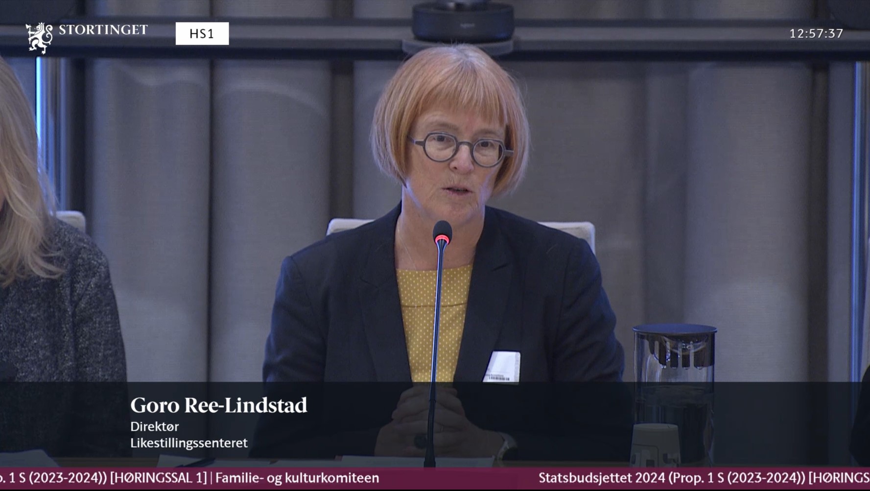 Goro Ree-Lindstad på Stortinget.