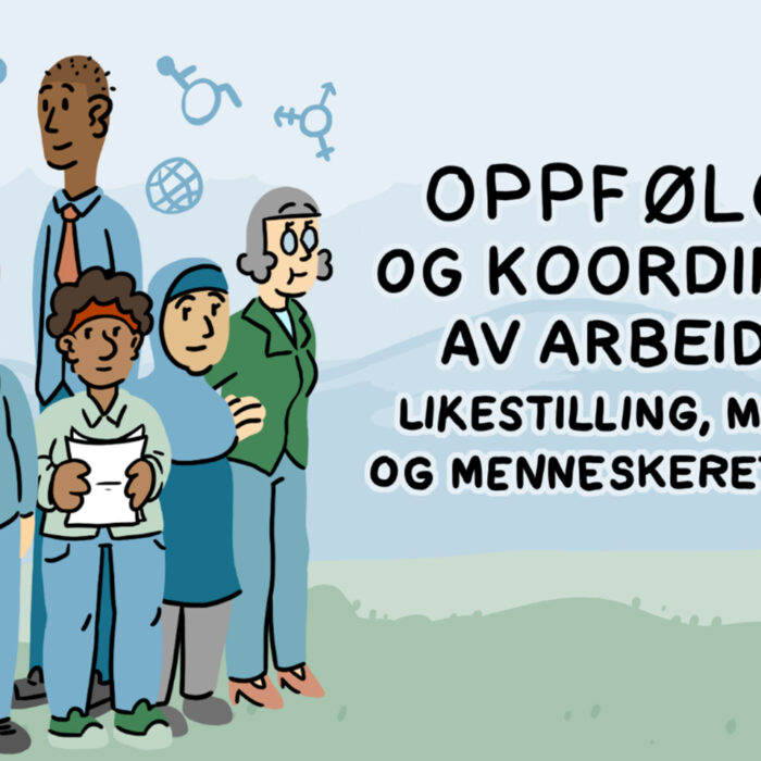 Tegning av en gruppe mennesker. På siden står teksten: Oppfølging og koordinering av arbeid med likestilling, mangfold og menneskerettigheter.