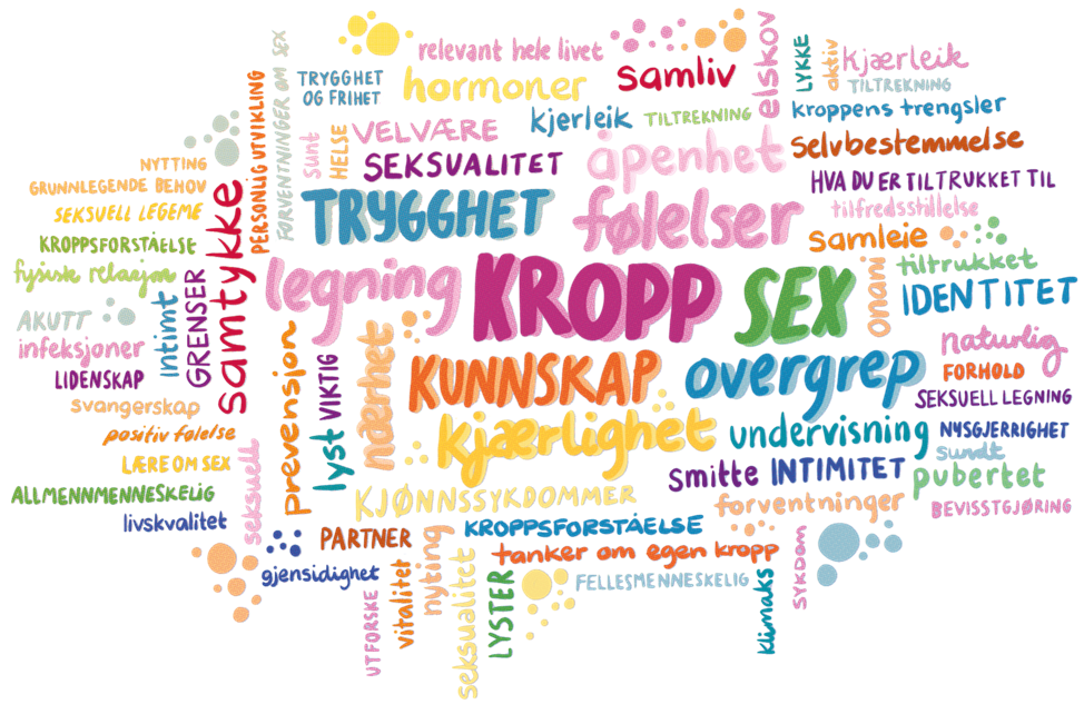 Ordsky med ord om kropp og seksualitet. Ordene kropp, sex, trygghet, kunnskap, overgrep, følelser, kjærlighet er størst.
