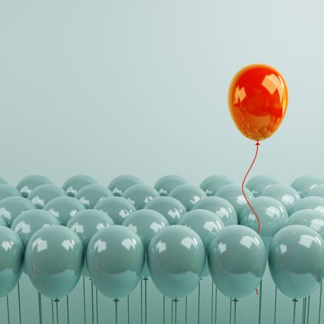AdobeStock_447862246