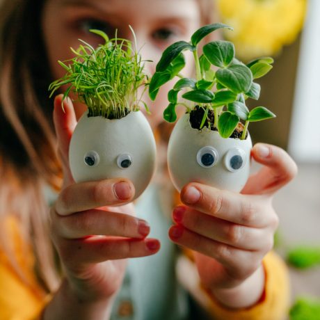 Et barn holder opp to egg med øyne og karse som vokser fra toppen.